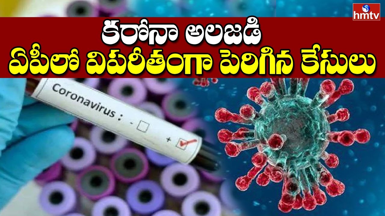 Corona Cases in AP Today | Covid 19 Update | Corona Update | AP News Live | hmtv