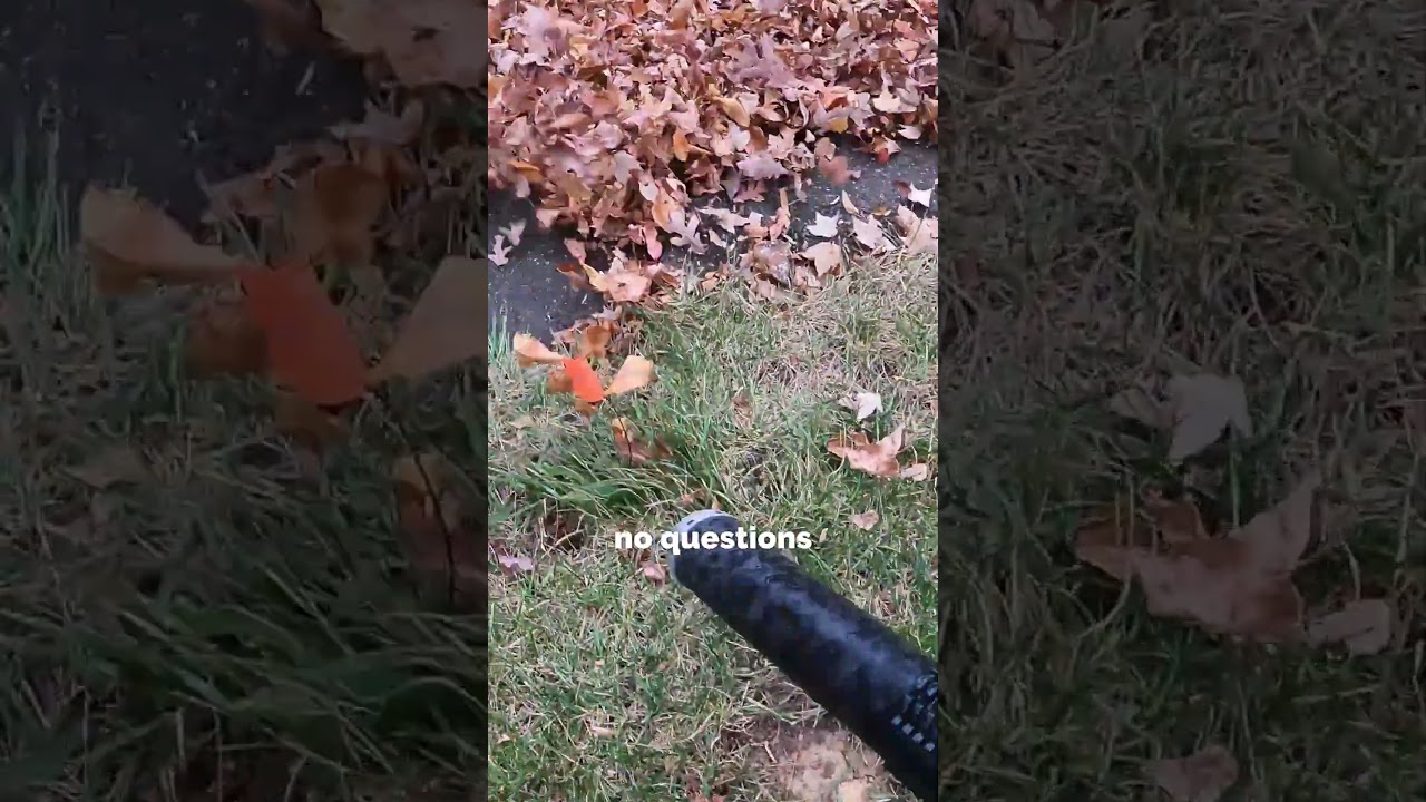 Leaf the neighbor alone!  #landscapers #landscaper #lawncare #landscapecontractor #mowinggrass