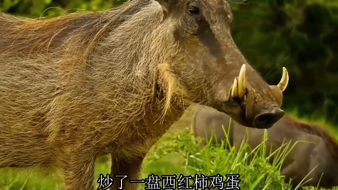 #外遇 #情感 #故事分享 #故事頻道 #夫妻生活 #弘扬正能量 #happy婚