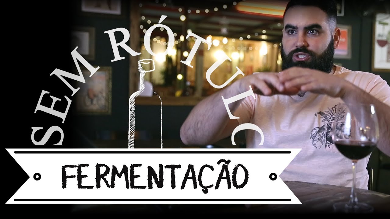 Fermentação e o Vinho