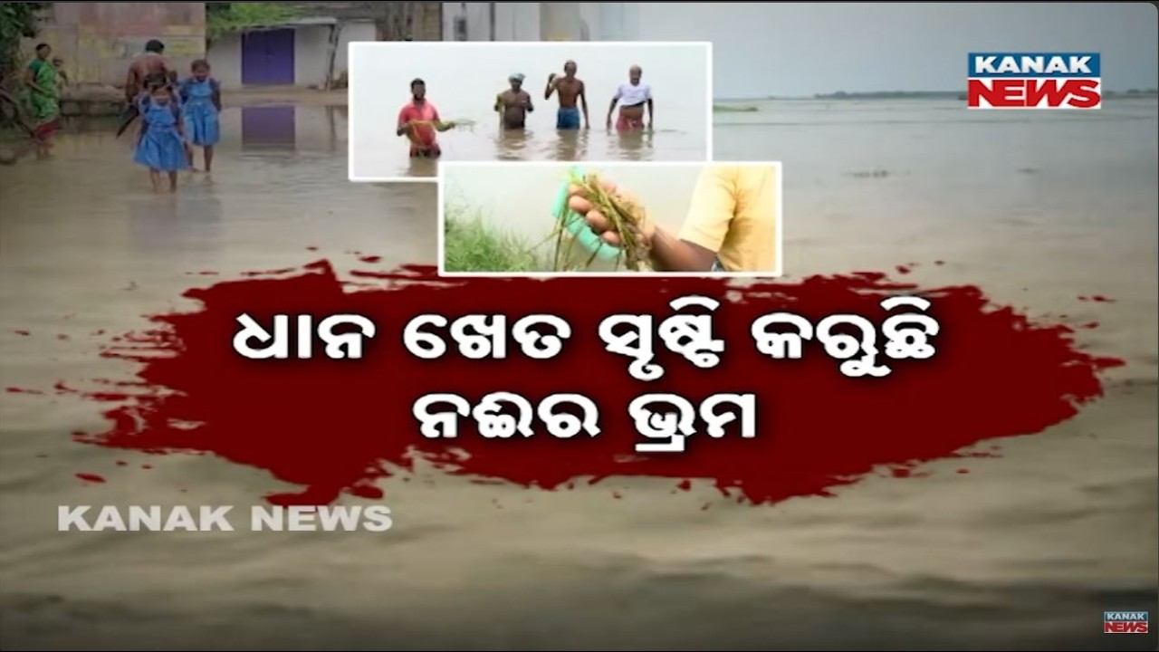 Odisha Rain Flood Update | Heavy Rain Damages Crops and Villages Across State