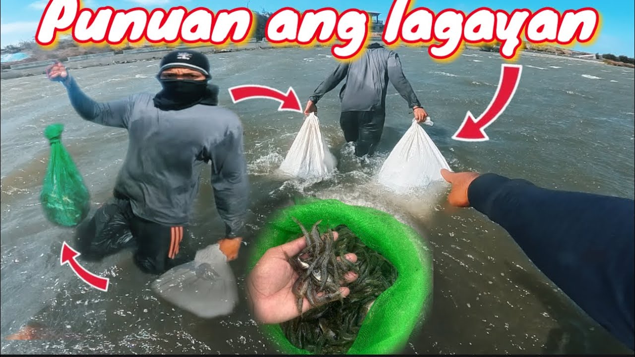 Dalawang sako ang hila hila holos hindi na maiahon swerte namin!