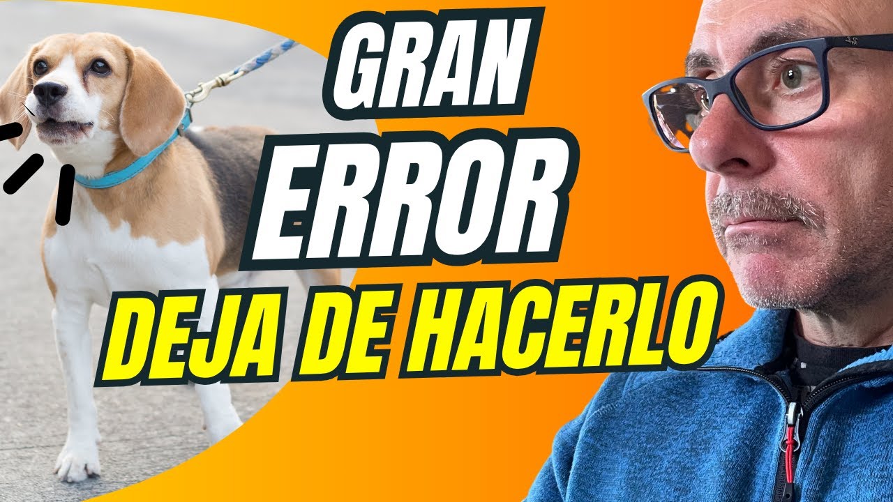 ❌NUNCA CORRIJAS ASÍ  a tu PERRO (Cómo Corregirlo o Regañarlo sin Romper el Vínculo)