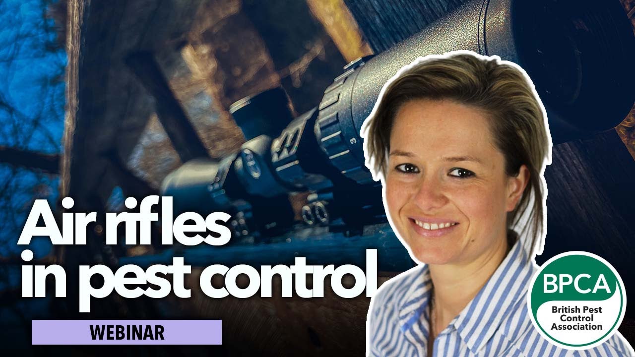 Safe and legal use of air rifles in pest control