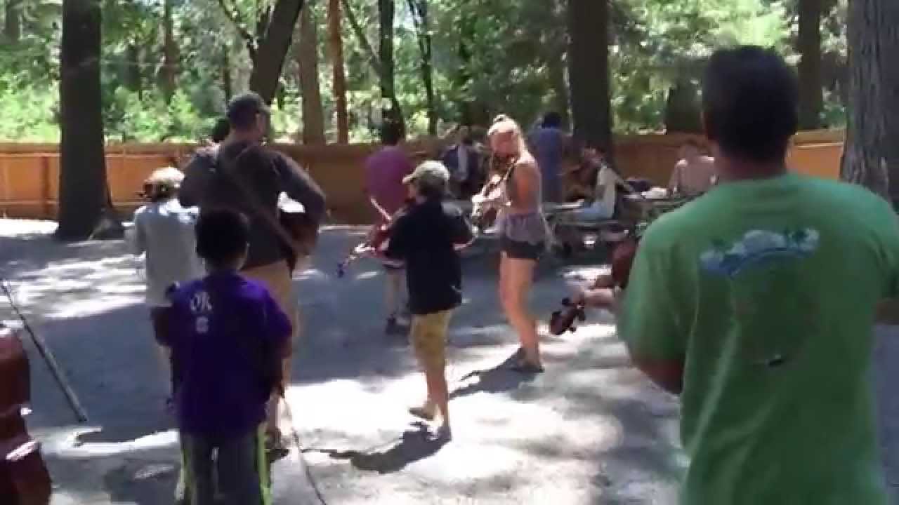 Wish I Had My Time Again, the Onlies and John Hermann, Shasta 2015 class raid