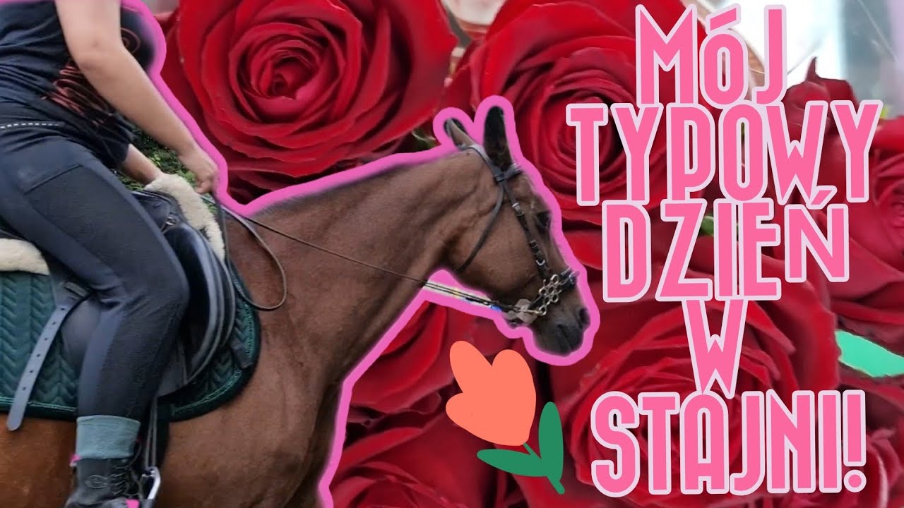 MÓJ TYPOWY DZIEŃ W STAJNI !