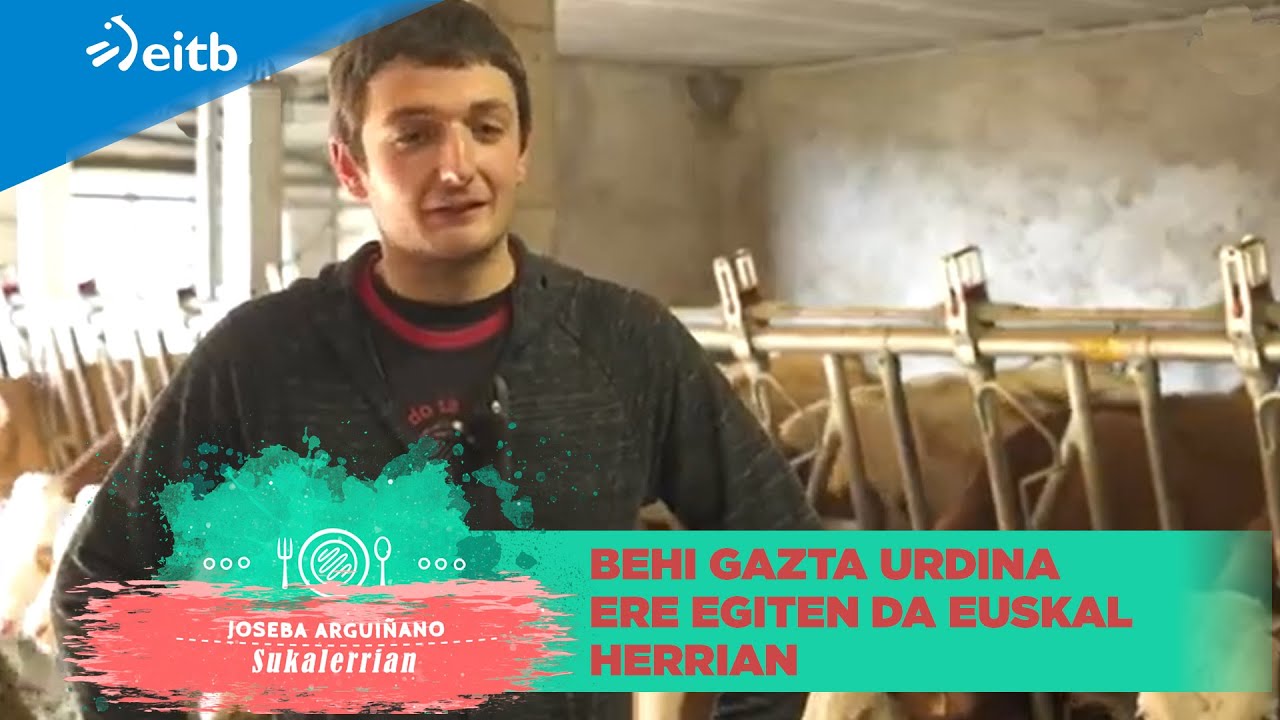Behi gazta urdina ere egiten da Euskal Herrian