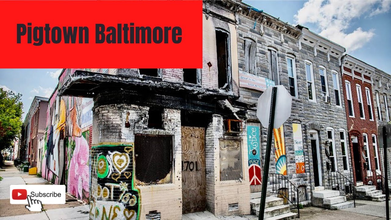 Pigtown Baltimore - Summer 2022