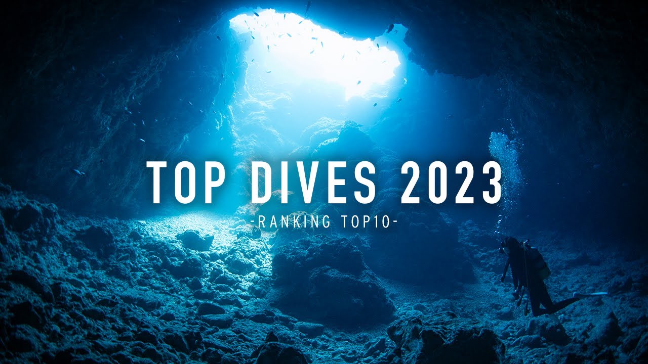 お客様を案内したダイビングポイントTOP10｜2023