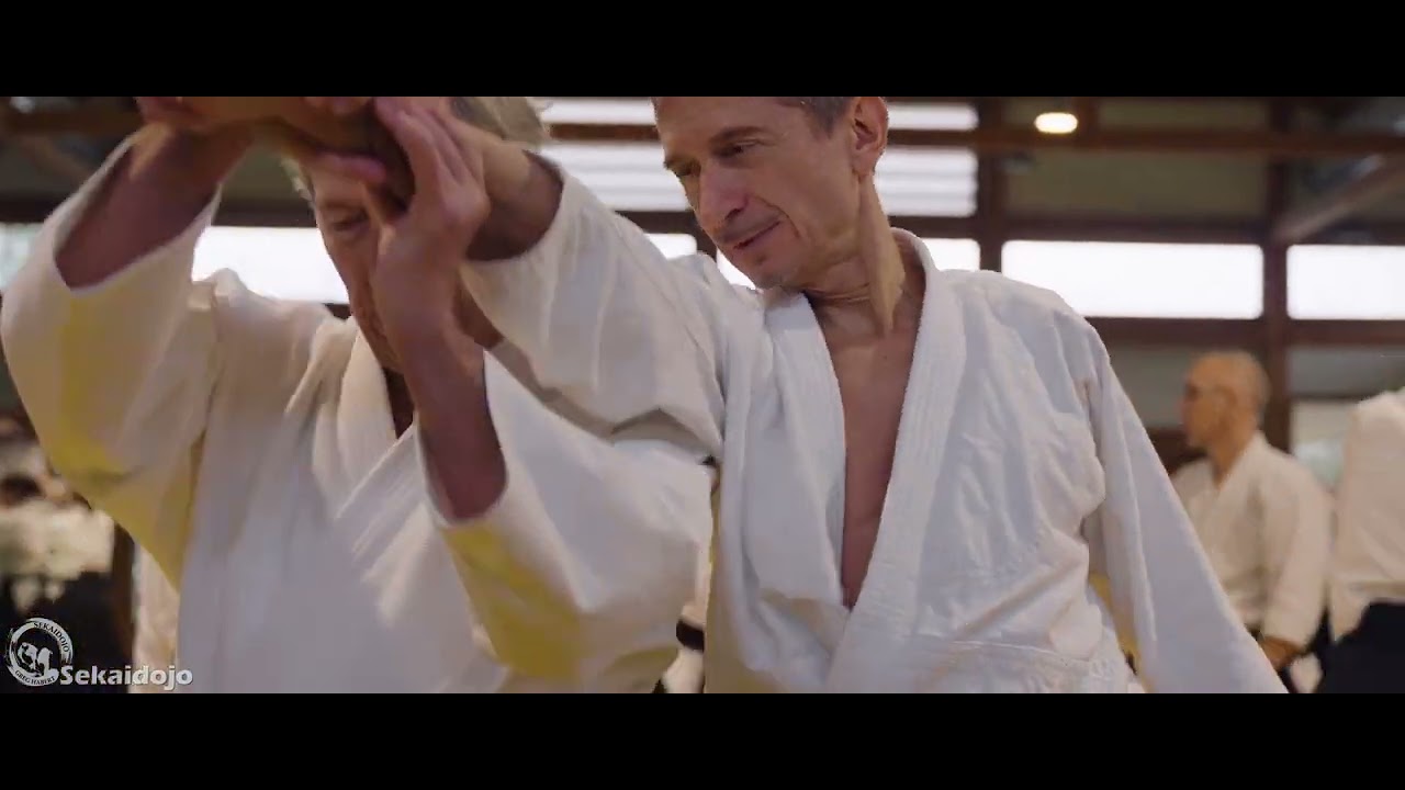 Stage Aikido National FFAB en ile de France : Didier Allouis et Jean Paul Moine - Janvier 2025