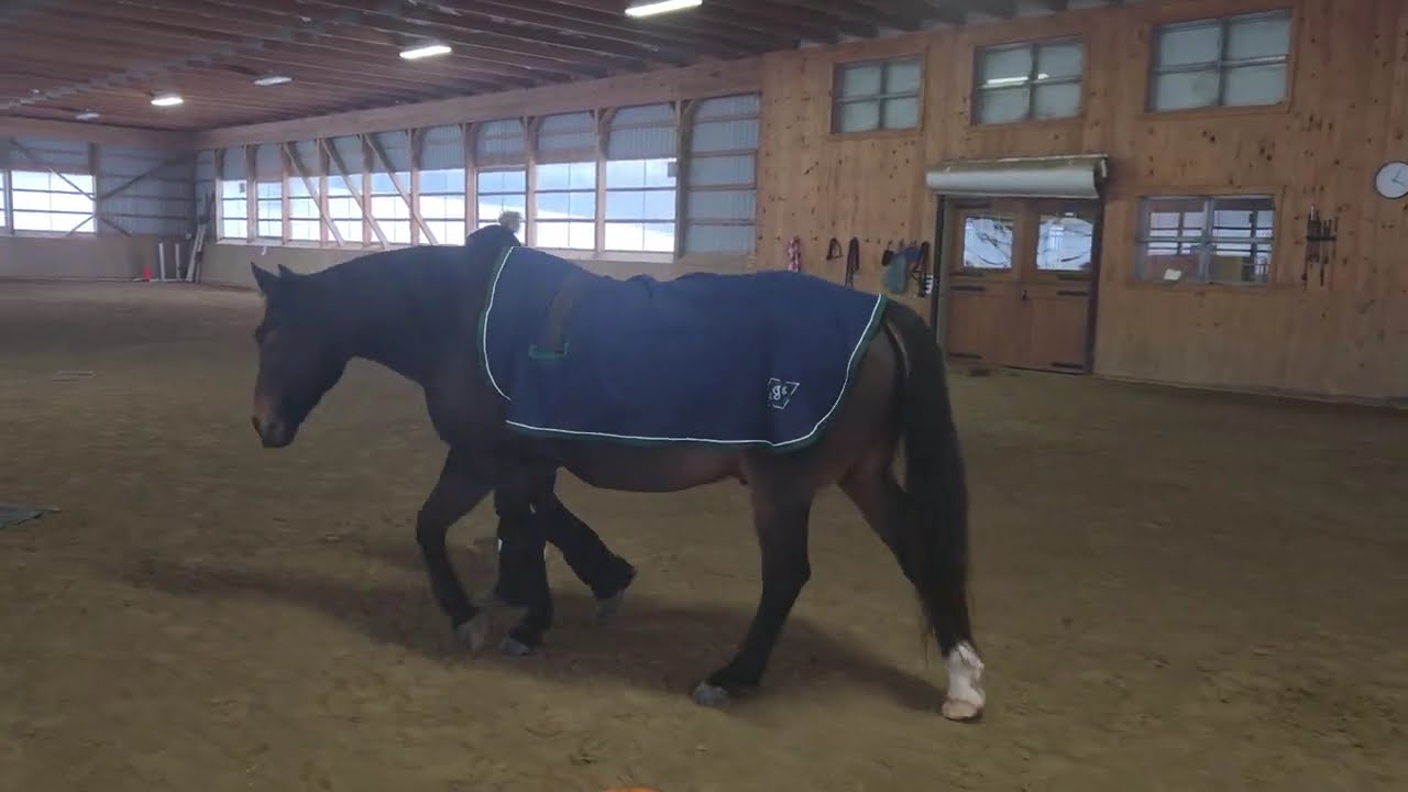 Prince wo silver January 26