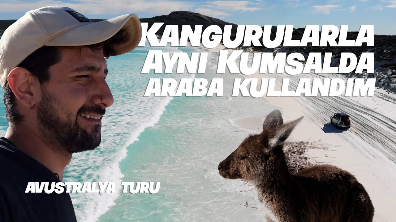 KANGURULARIN OLDUĞU KUMSALDA ARABA KULLANDIM! AVUSTRALYA TURU PART 14