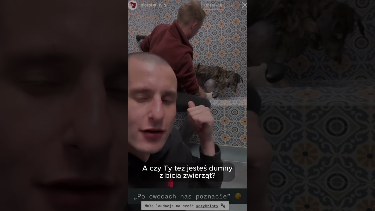 Bicie zwierząt w DIOZ jest powodem do dumy
