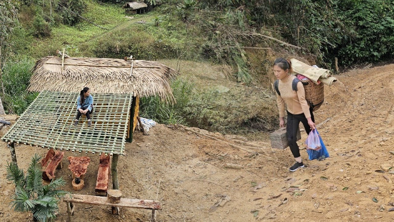 Girl Leaves the City to Build a Bamboo House in the Forest from Scratch | Starting a New Life