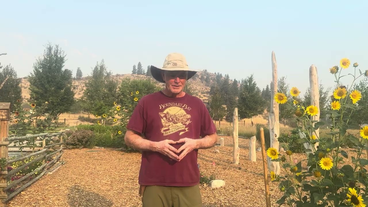 Garden Weed Removal Strategy