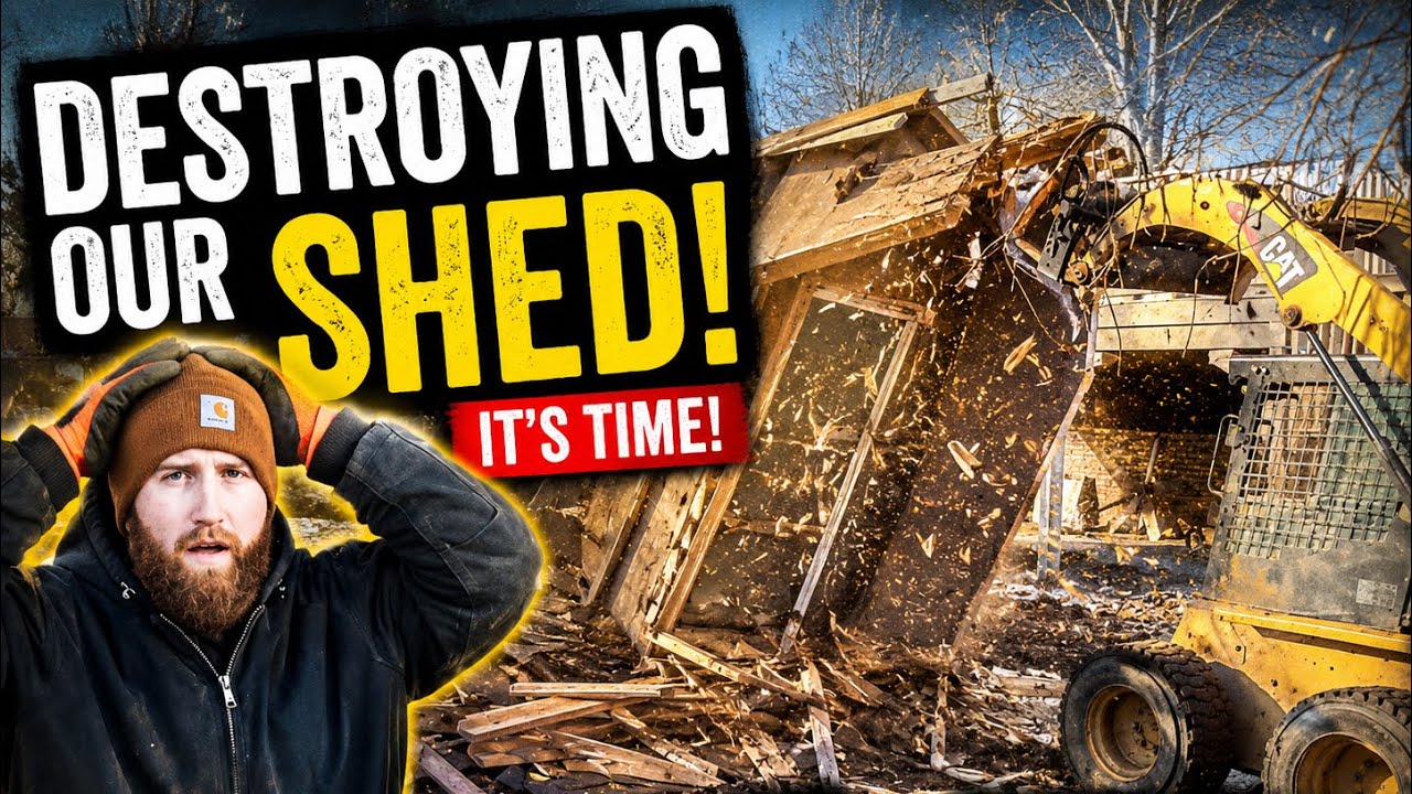 Demolishing Our Shed 