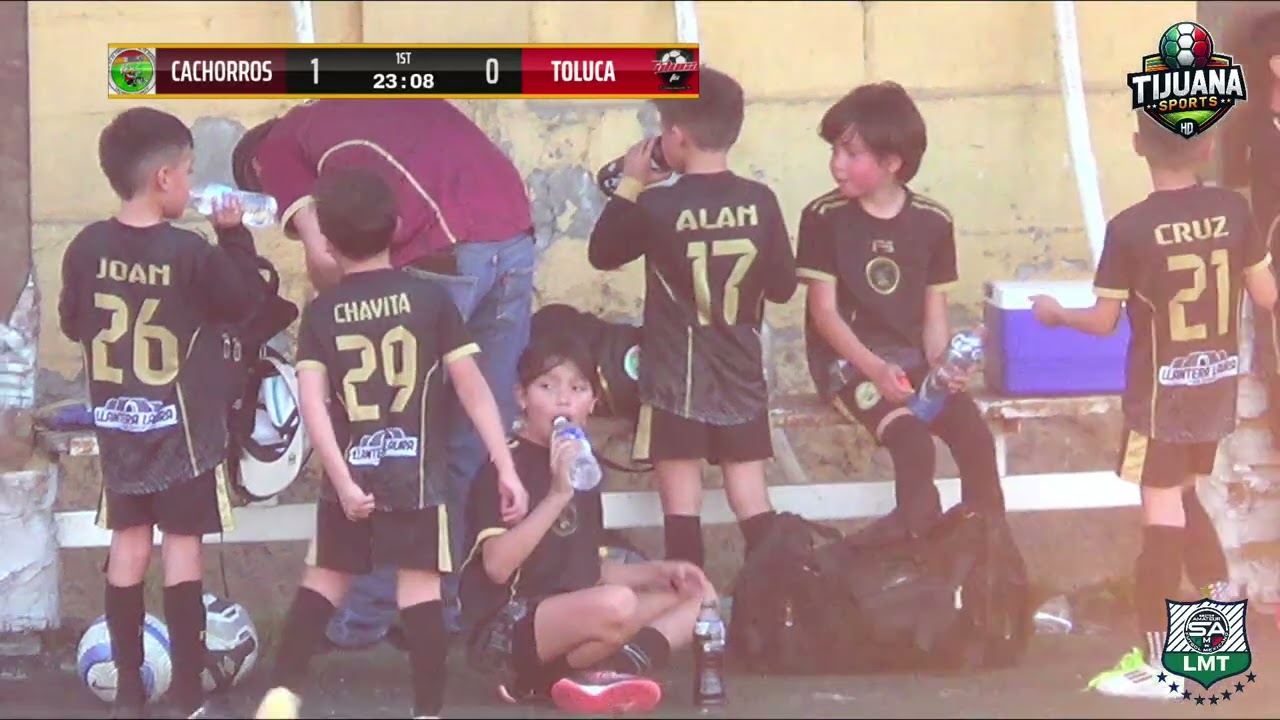 CACHORROS VS TOLUCA CAT 2017