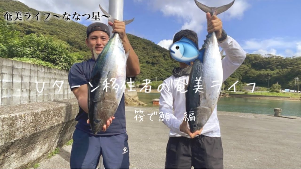 【イカダでマグロ】【神回】宇検村のイカダで泳がせ釣り！芋けんぴ大物釣る！？　筏で鮪　編