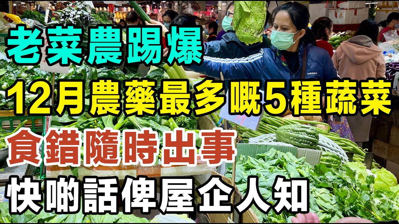 老菜農踢爆，12月農藥最多嘅5種蔬菜，食錯隨時出事，快啲話俾屋企人知！ #健康你要知 #養生唔好中伏 #食物真相揭秘 #廚房智慧 #飲食要清淡 #食得健康 #你唔知的營養知識
