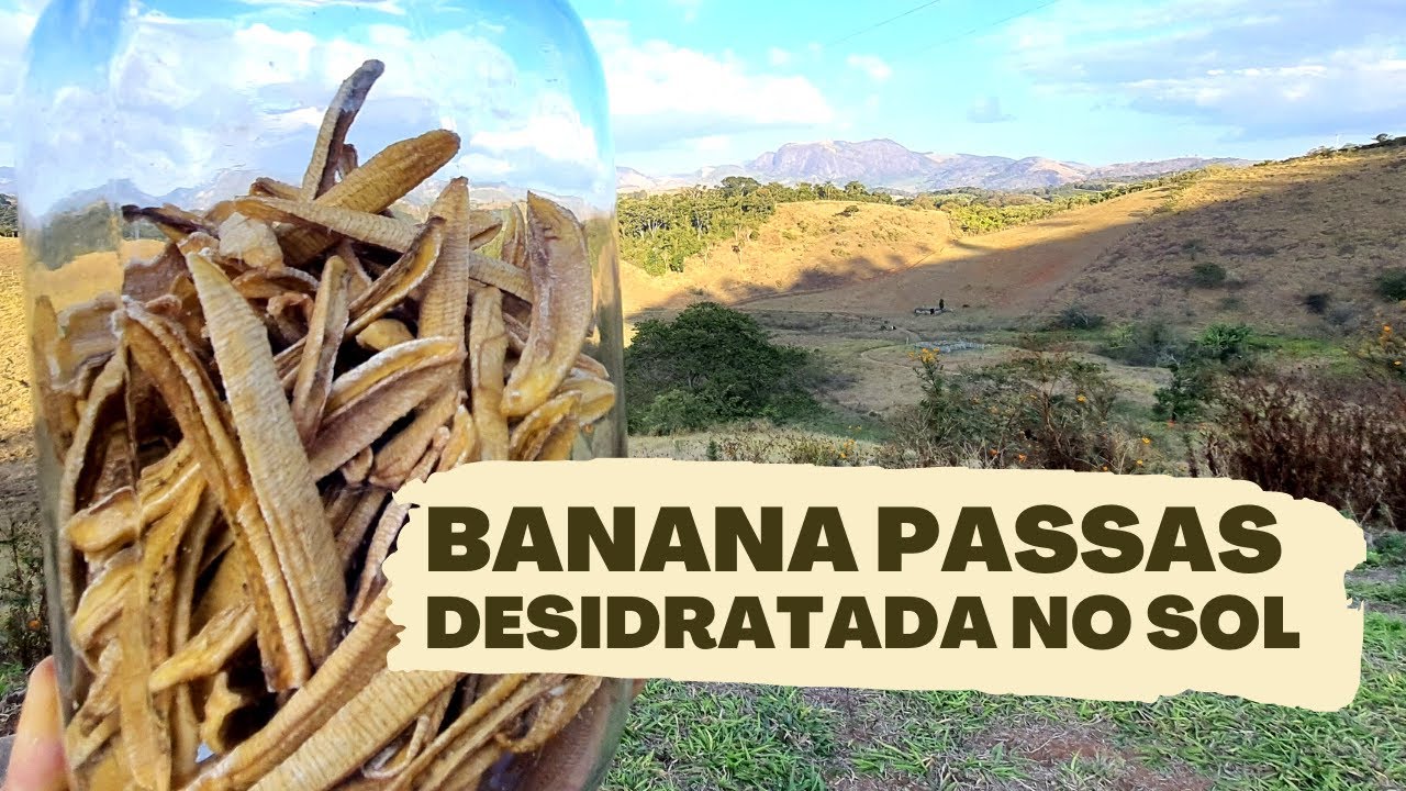 COMO FAZER BANANA PASSAS DESIDRATADA NO SOL