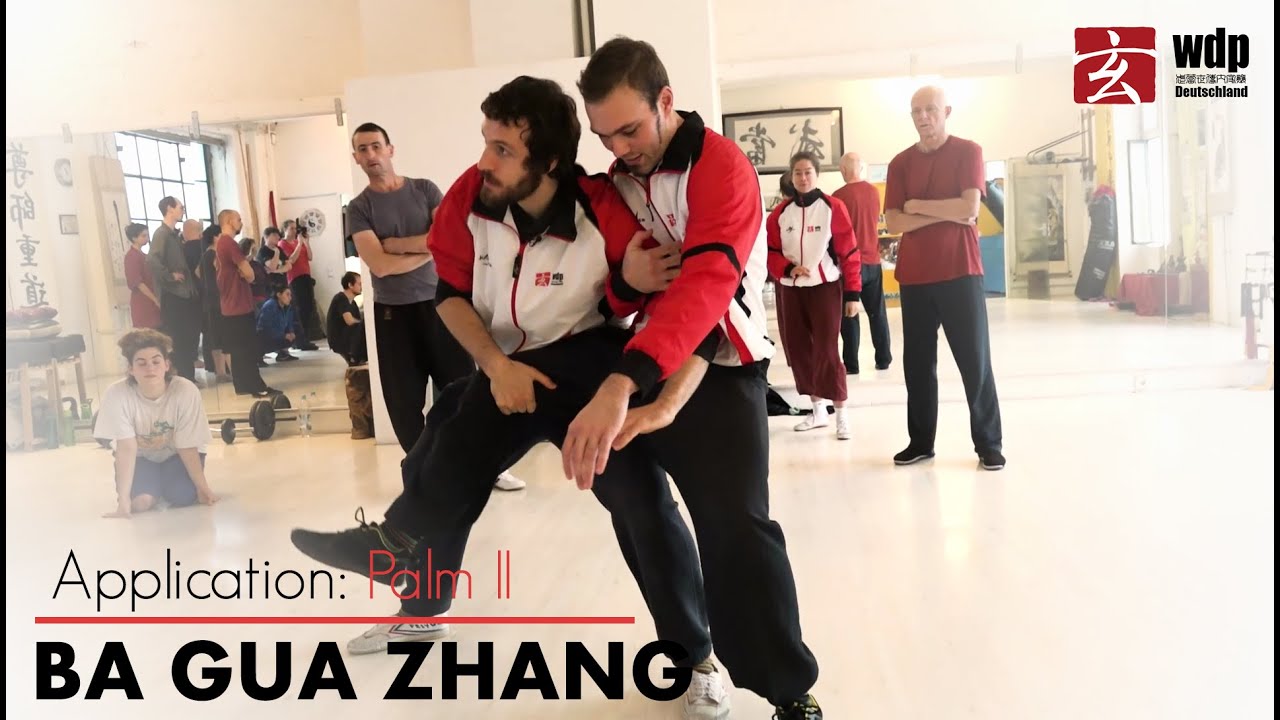 BA GUA ZHANG - Application: Palm  II (camp 2019)