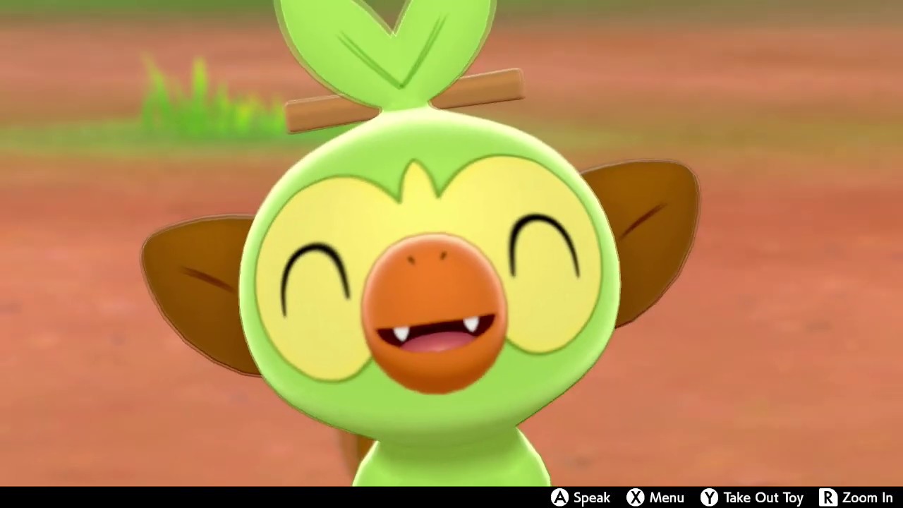 Grookey In Camp - Pokemon Sword & Shield
