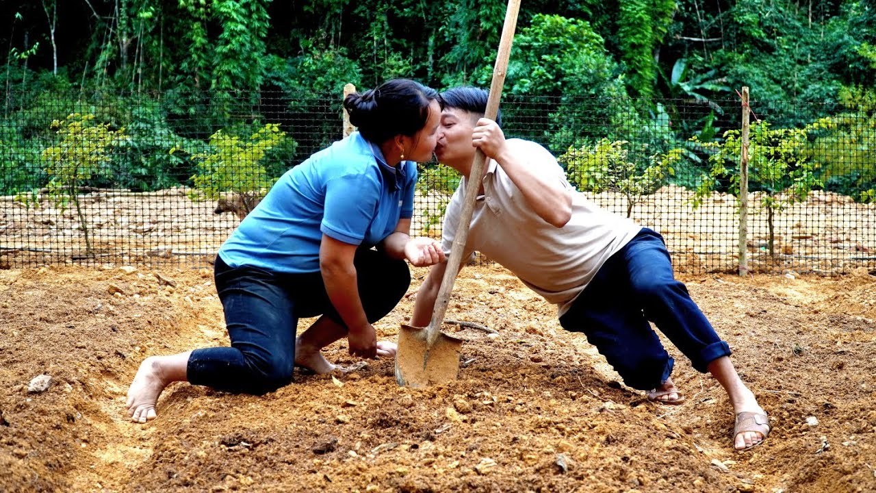 Build a new garden bed, fence a large garden with mesh, and remove manure.