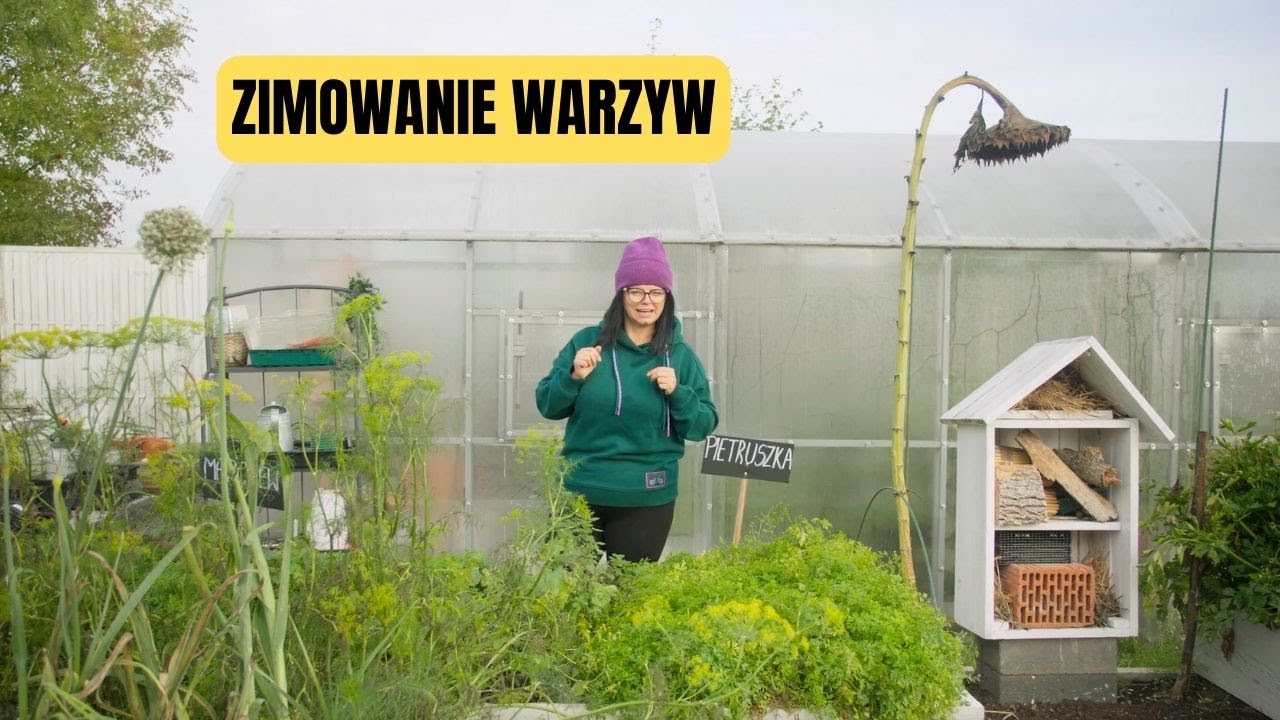 Zimowanie warzyw. Jak przechowywać marchew na zimę? Jak przechowywać warzywa przez zimę?