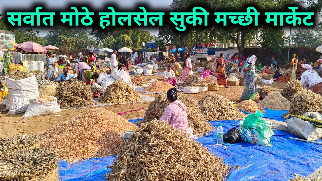 होलसेल सुकी मच्छी मार्केट 😲🦞| Kalyan Fish Market🐟 | Kalyan Kongaon Dry Fish Market 🦐wholesale market