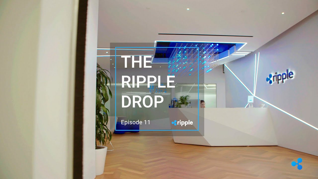 The Ripple Drop - Episode 11