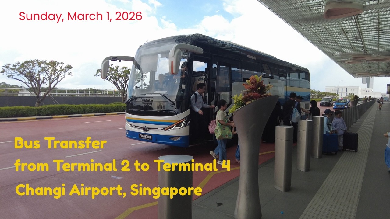Bus Transfer from Terminal 2 to Terminal 4, Changi Airport, Singapore ; Sunday, March 1, 2026
