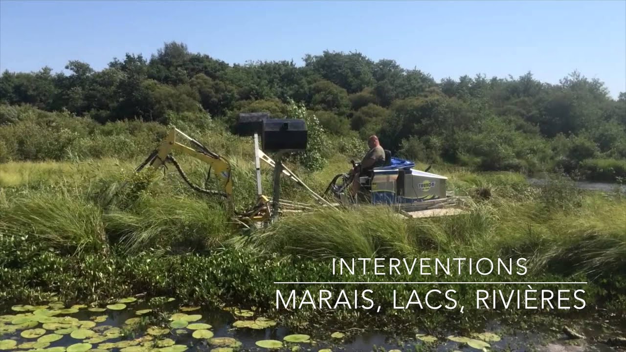 Entretien de lacs, lagunes, arrachage de végétation en milieu humide