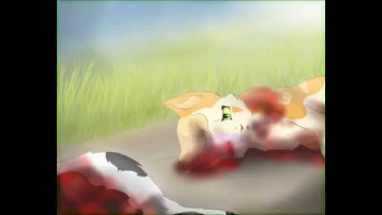 Les Morts Les Plus Triste de la Guerre des Clans partie 2