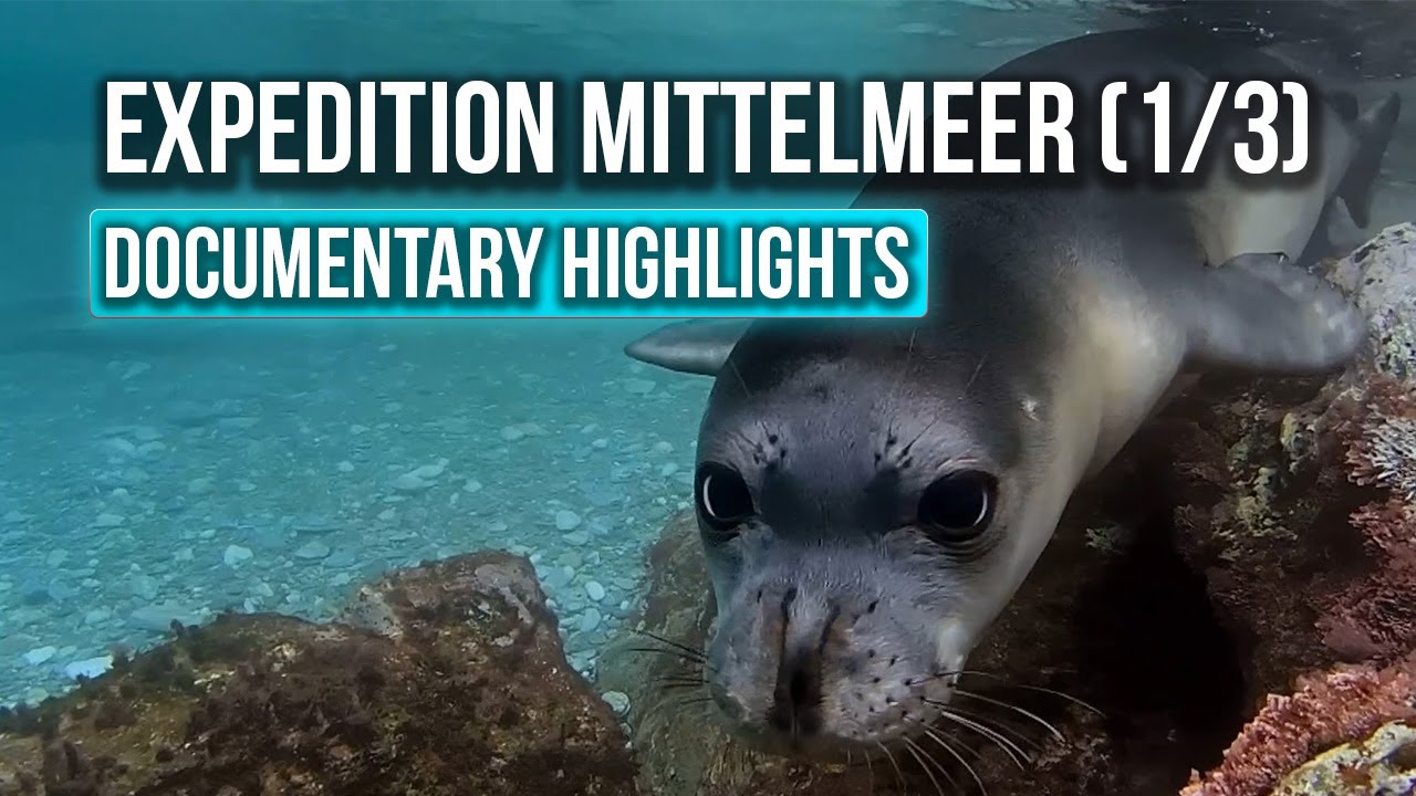 Die letzten ihrer Art – Expedition Mittelmeer (1/3) | Edited by TheMotionArtworks