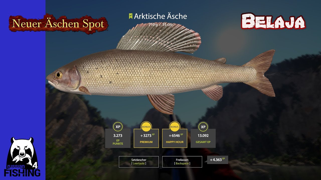 RF4 – ÄSCHEN OHNE ENDE – Belaja- Russian Fishing 4