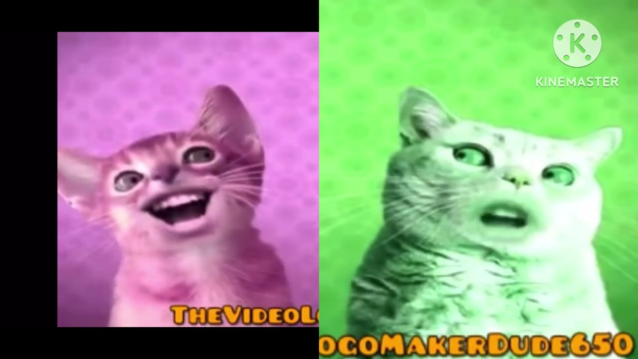 Preview 2 Numa Cat Effects (Preview 2 extended effects) combined