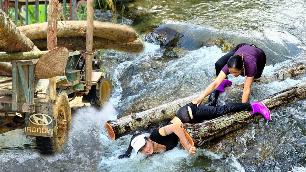 Transporting wood was no longer difficult for me, but the stream was too slippery#truck#agricultural