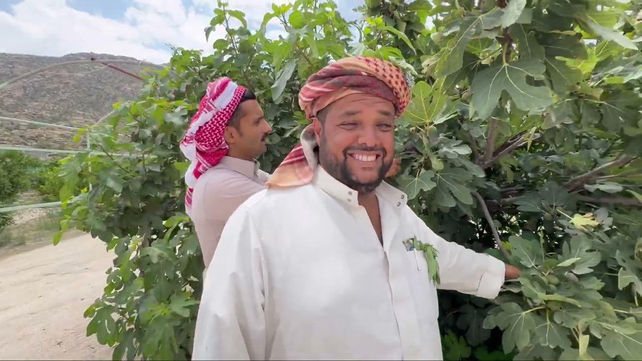 زيارة مسجد الصحابي جرير البجلي وشلال القان والنزل الريفي ومزارع بن سلمان