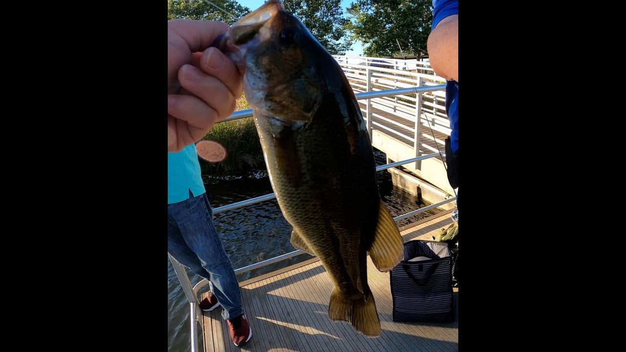 Bass Fishing at Mather Lake