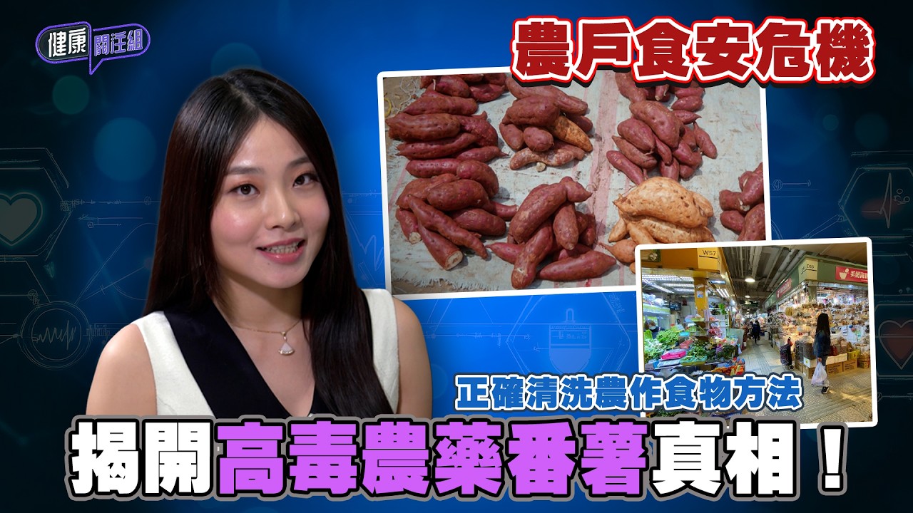 農戶食安危機 揭開高毒農藥番薯真相！｜ 健康關注組 ｜ EP536 ｜ 黃芳雯 ｜ 麥詩敏 ｜ HOY TV 77台