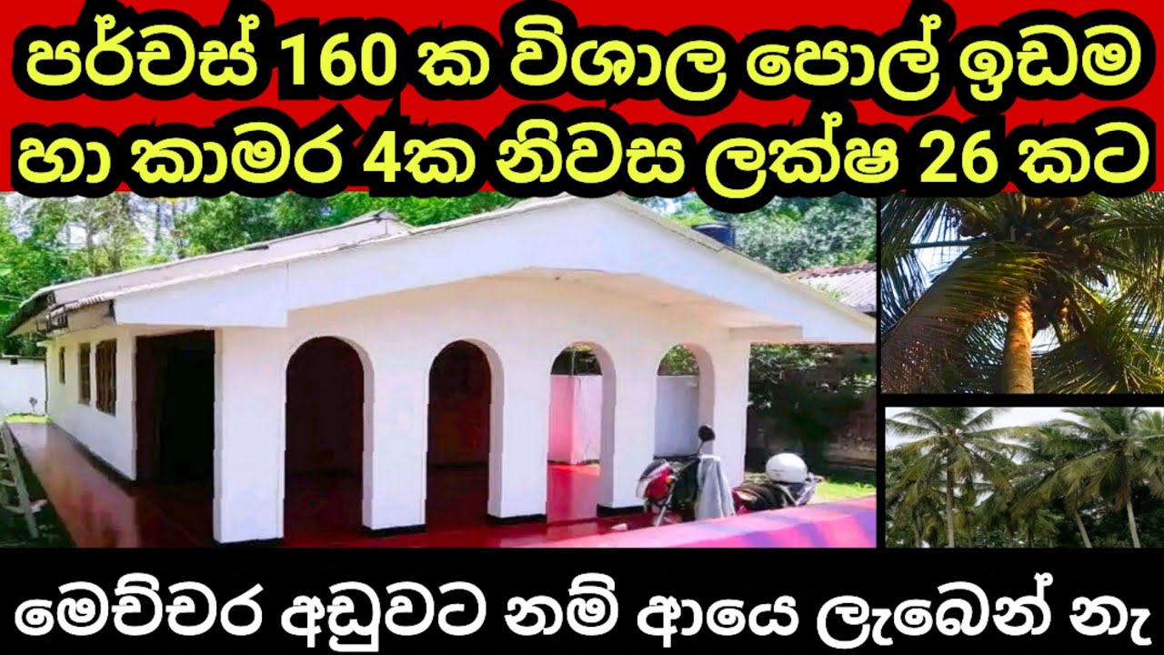 පර්චස් 160 ක පොල් ඉඩම හා නිවස රු ලක්ෂ 26 කට | Pol idam | House for sale | Coconut land |Aduwata idam