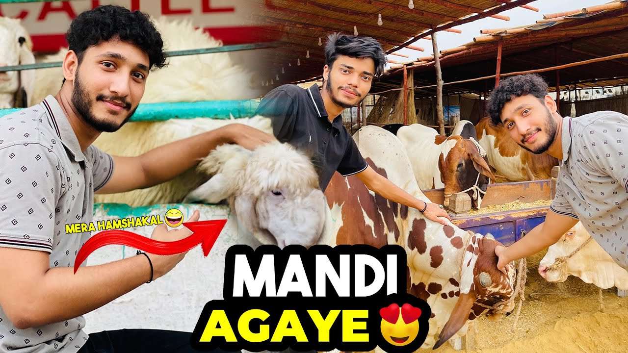 A visit to Jamil Memon Mandi 😍 SAUDA HOGAYA?😱
