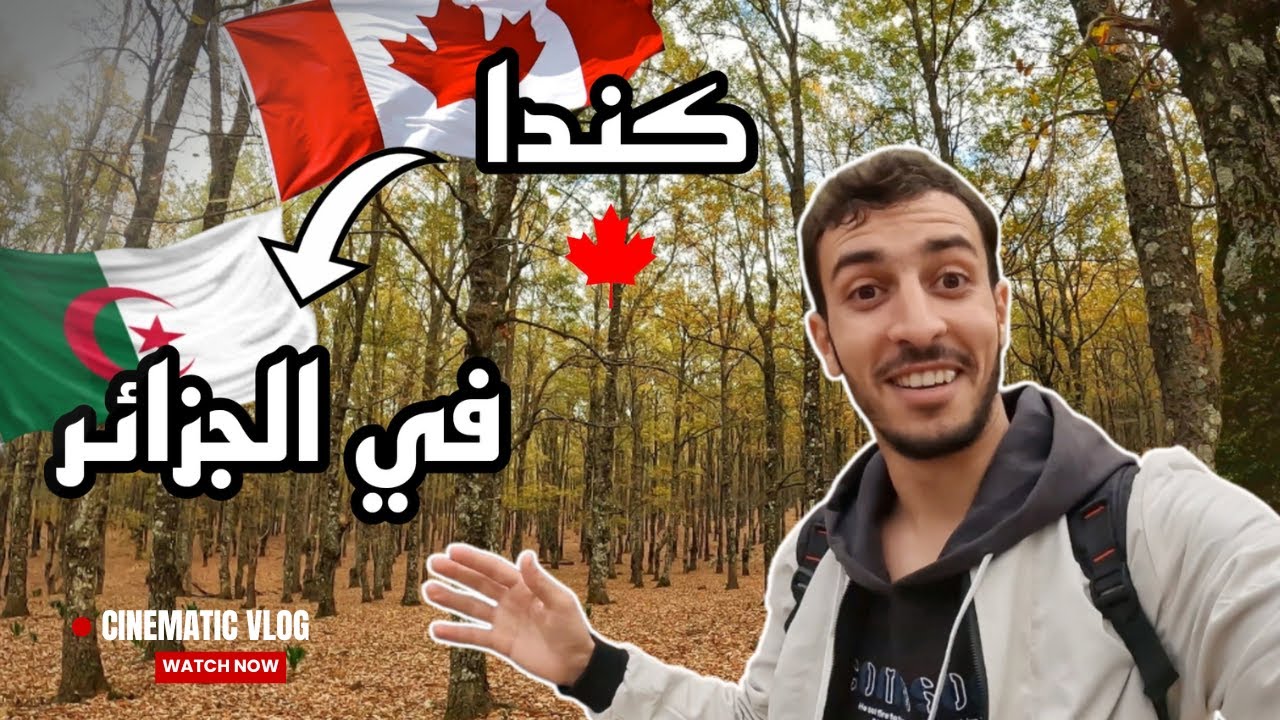 الوجه الاخر للطبيعة في الجزائر -  الغابات الريفية