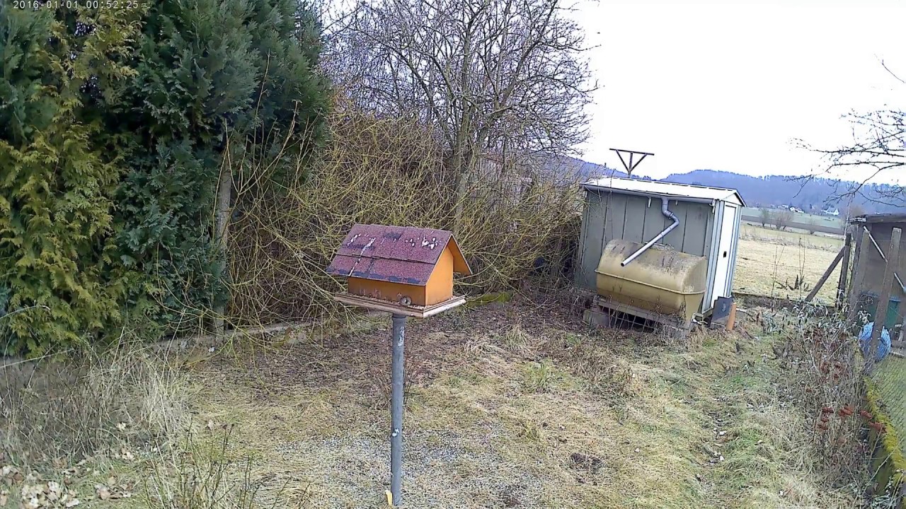 V&ouml;gelzuf&uuml;tterung Orleswiesen Ober-Mockstadt