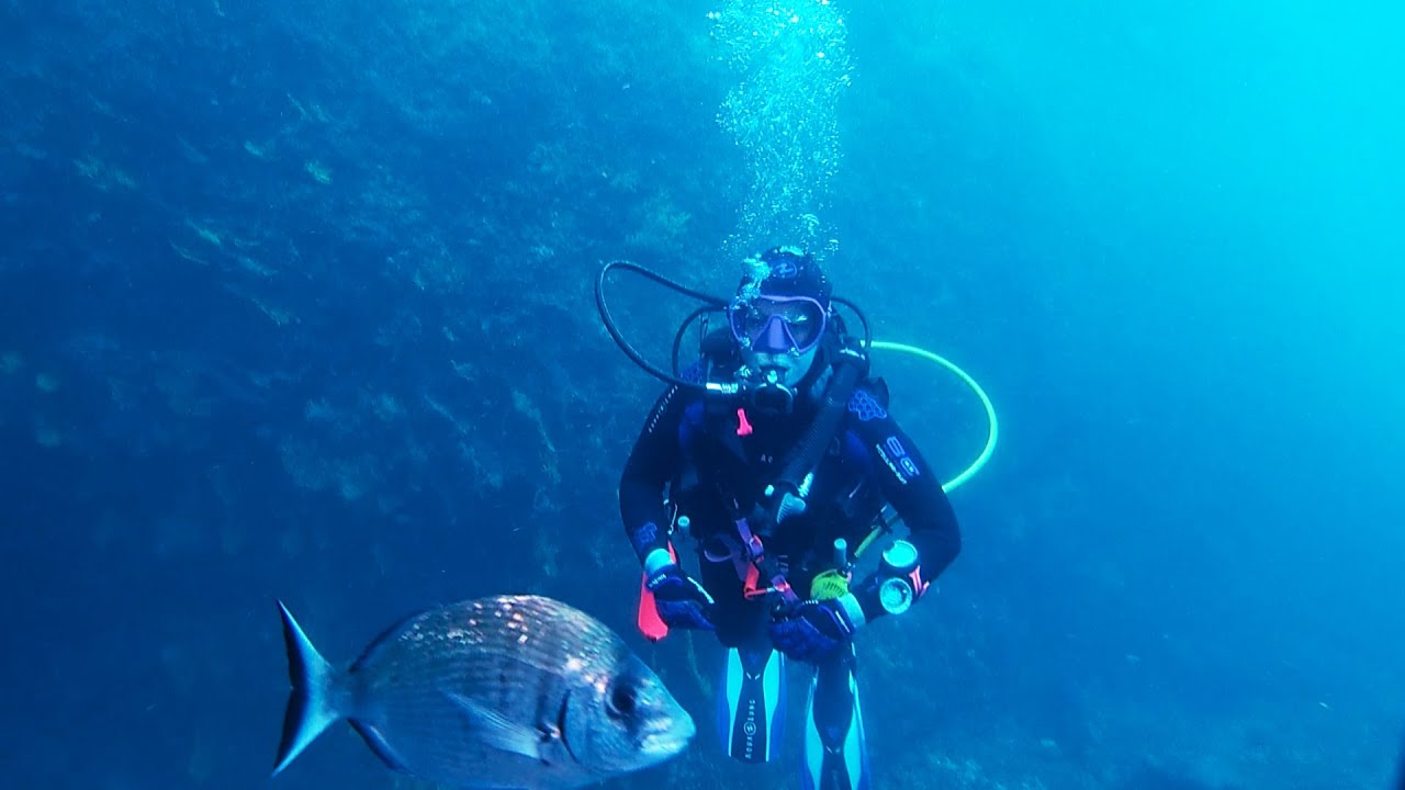 Plongée sur les Iles Médès - L'ESTARTIT - Espagne - 27.28.29 Mai 2023 - Club Subaquatique Thiernois