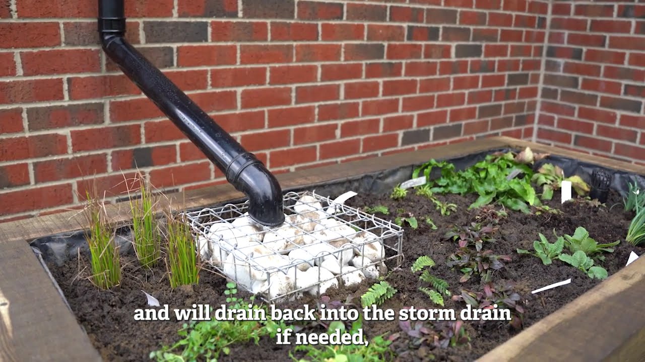 Rain Garden at Tewksbury Baptist Church