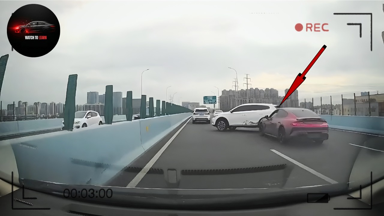 Idiots on the Road Caught on Camera  | Episode 29