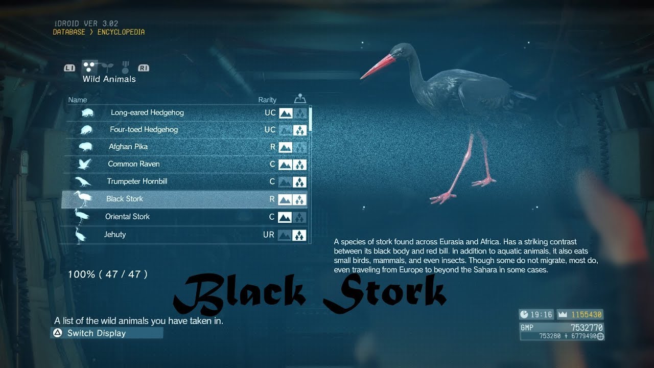 METAL GEAR SOLID V: THE PHANTOM PAIN: Black Stork