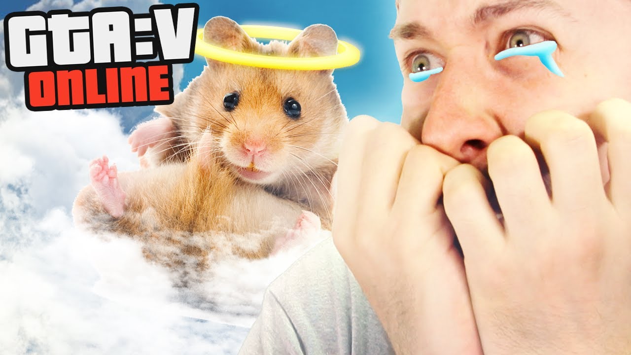 HAMSTER HORRORS | GTA 5 Online Playlist