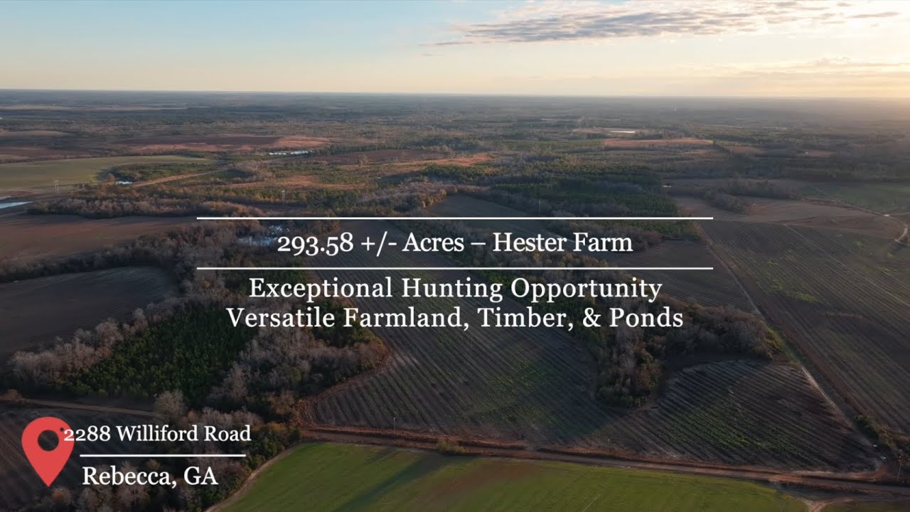 294+/- Acres – Hester Farm - Exceptional Hunting Opportunity - Versatile Farmland, Timber, & Ponds